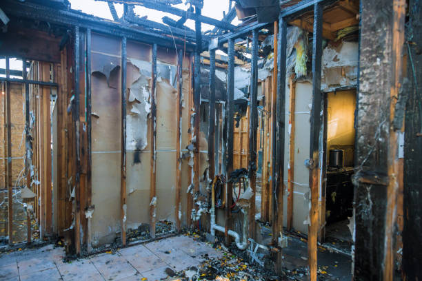 Professional Fire Damage Assessment technician working in Shafer, MN